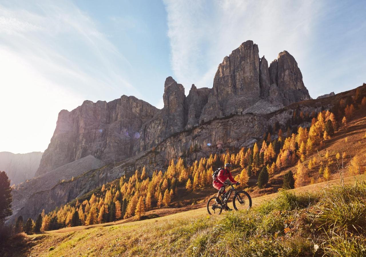 Chalet Elisabeth Dolomites Alpin & Charme Selva di Val Gardena Ngoại thất bức ảnh