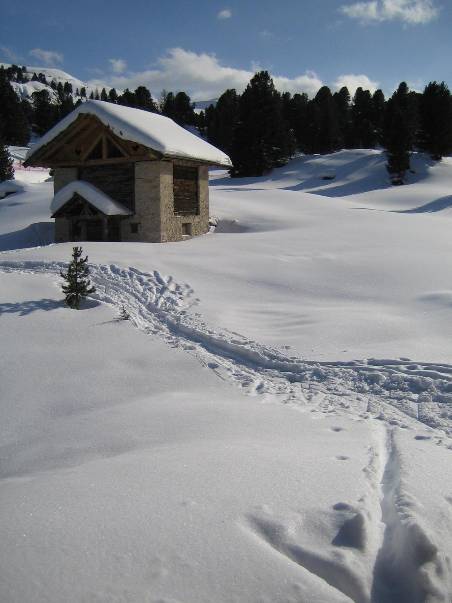 Chalet Elisabeth Dolomites Alpin & Charme Selva di Val Gardena Ngoại thất bức ảnh