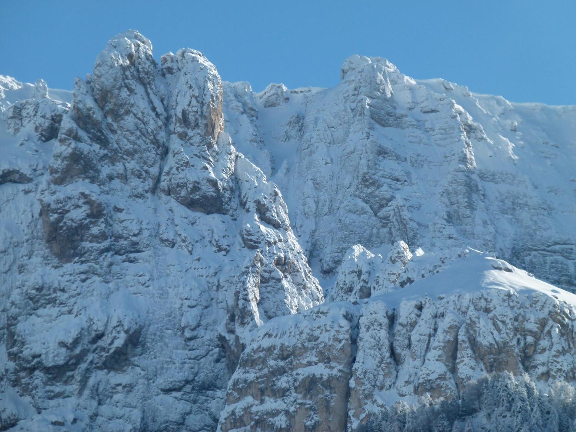 Chalet Elisabeth Dolomites Alpin & Charme Selva di Val Gardena Ngoại thất bức ảnh