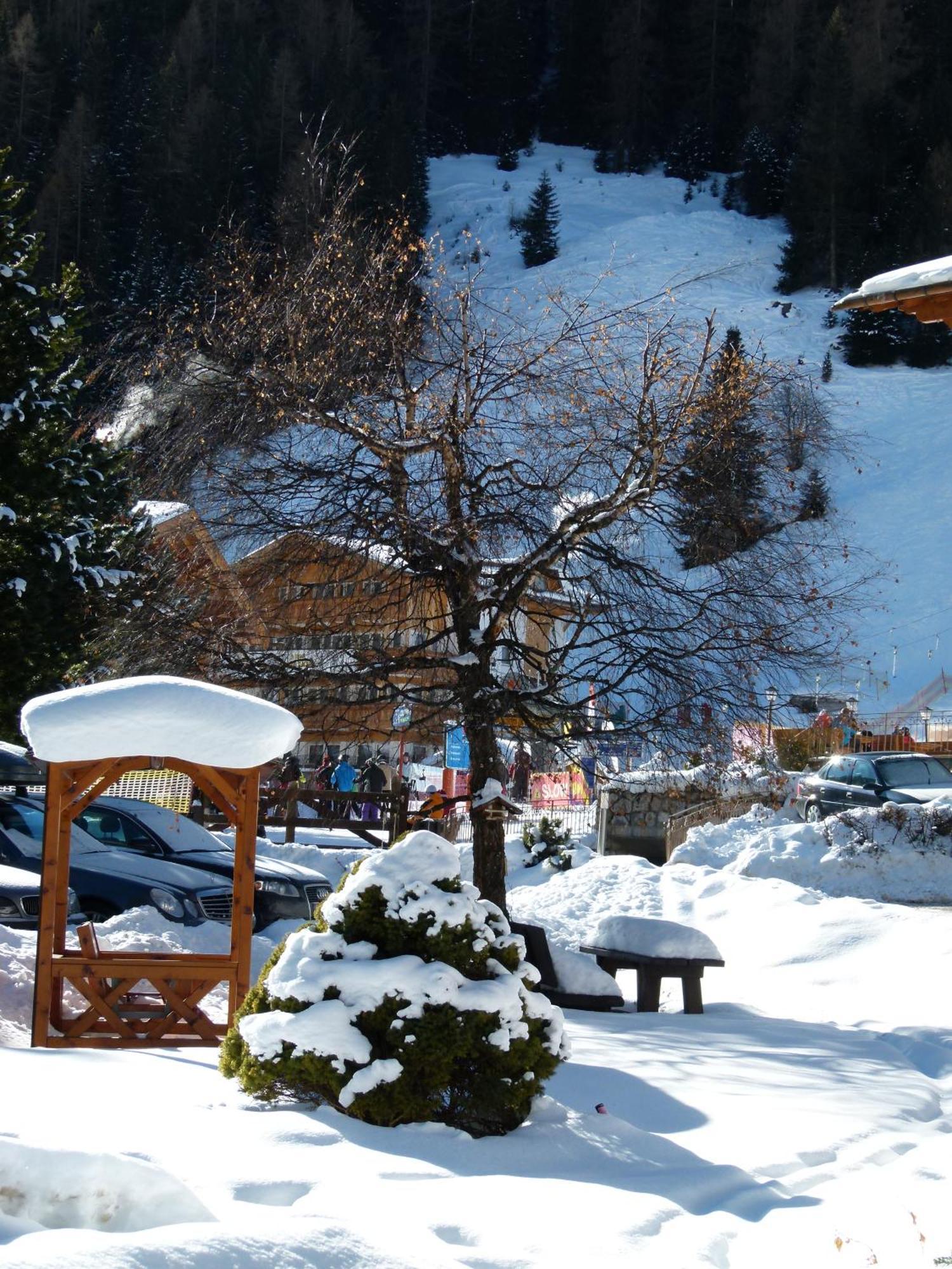 Chalet Elisabeth Dolomites Alpin & Charme Selva di Val Gardena Ngoại thất bức ảnh