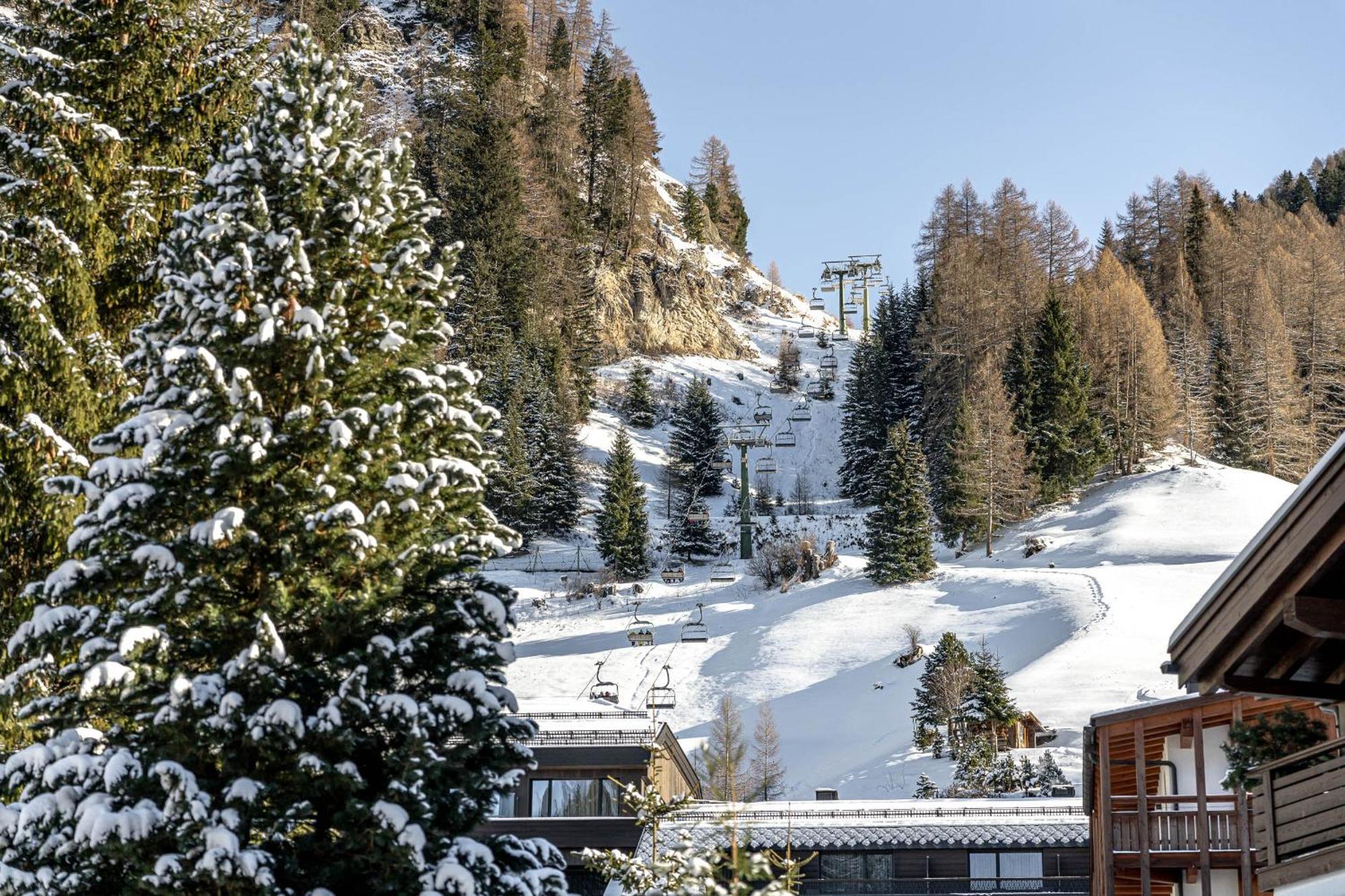 Chalet Elisabeth Dolomites Alpin & Charme Selva di Val Gardena Ngoại thất bức ảnh